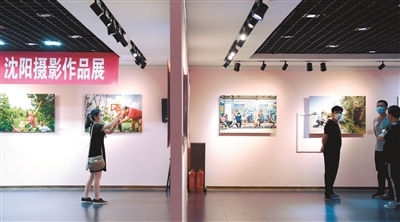 沈陽30位駐村“第一書記”成主角，鄉村振興展覽展現責任與擔當